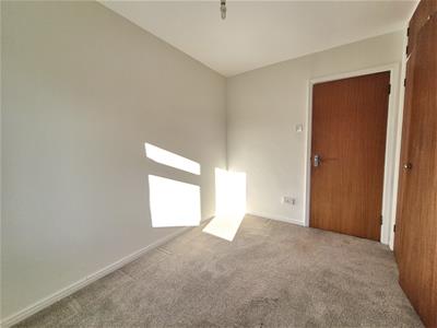 Picture 26